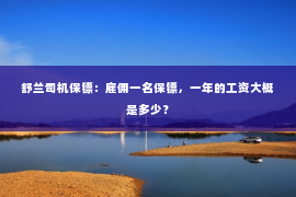 舒兰司机保镖：雇佣一名保镖，一年的工资大概是多少？